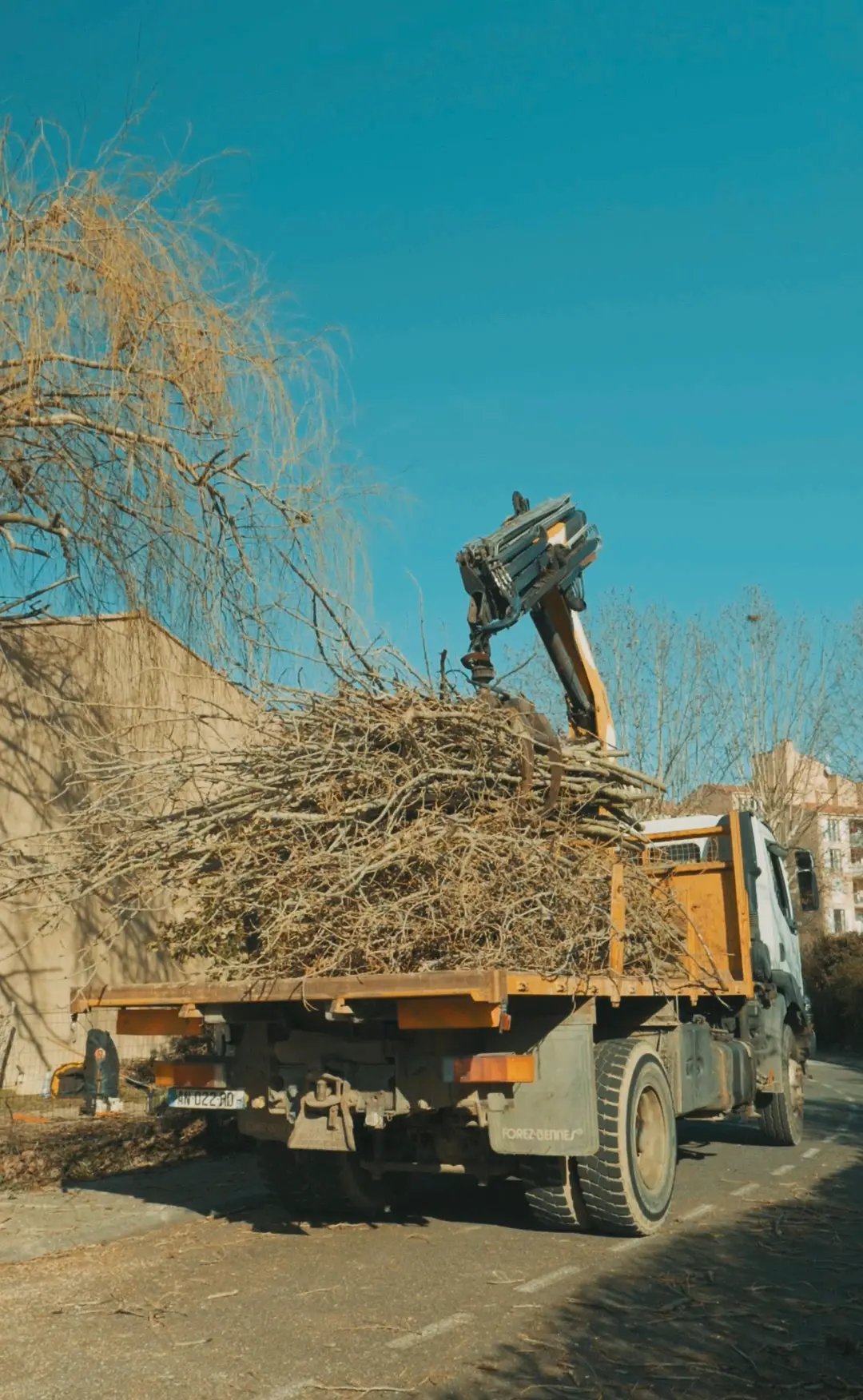 Évacuation d'arbres par un professionnel à Toulouse